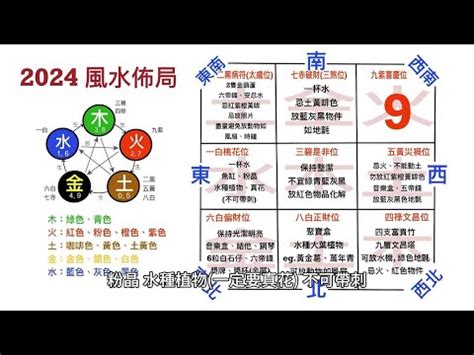 車道 風水|2024年車道風水佈局指南